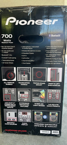 Pioneer All-In-One Party Speaker