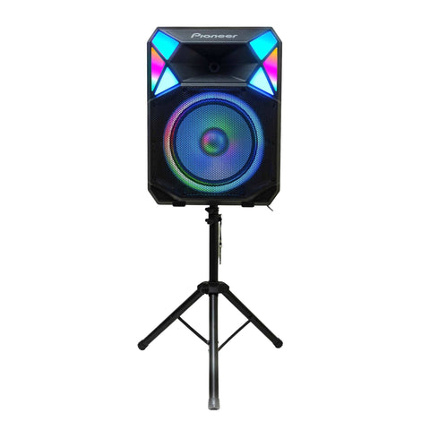 Pioneer All-In-One Party Speaker